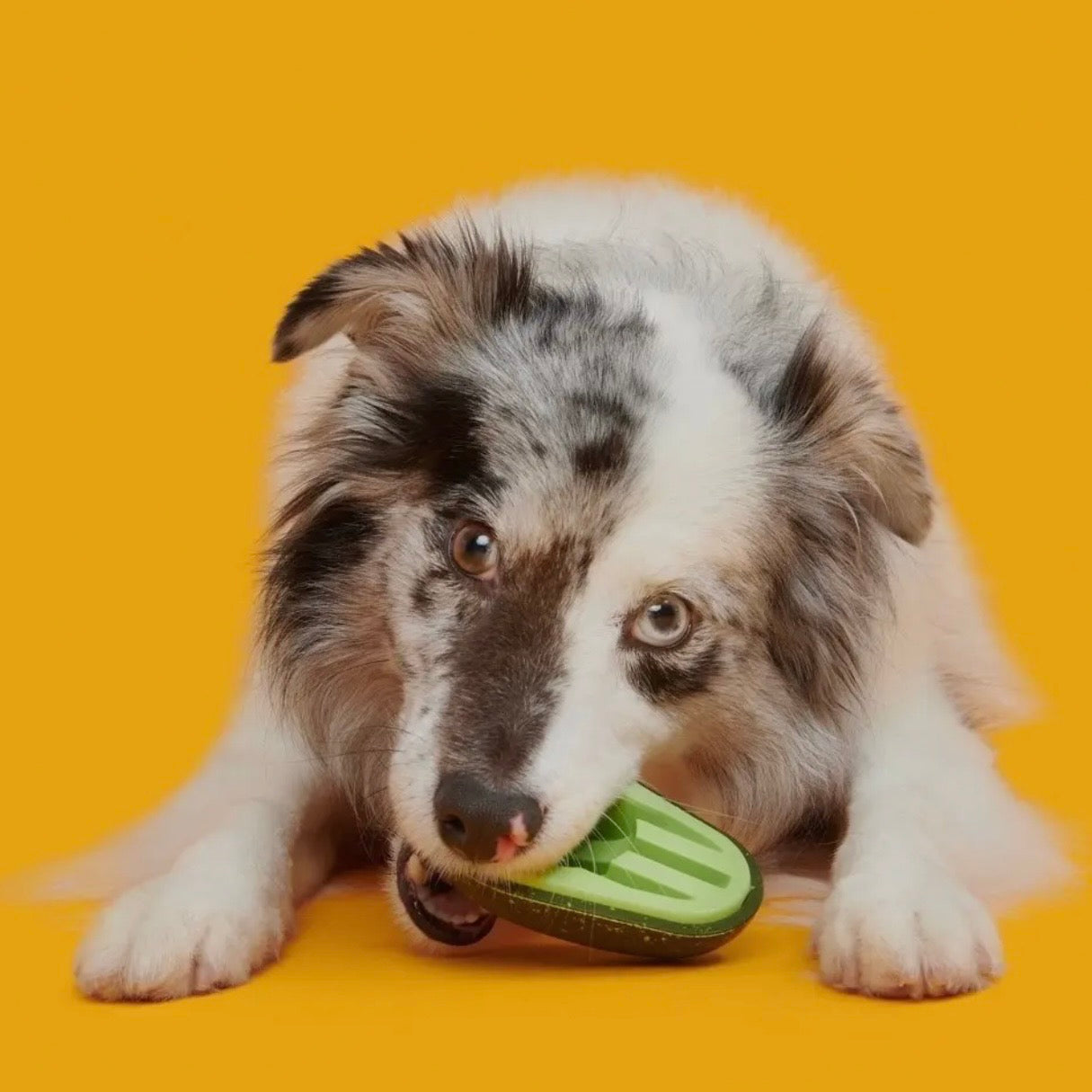 BARK Avocadoggo Super Chewer Dog Toy Small