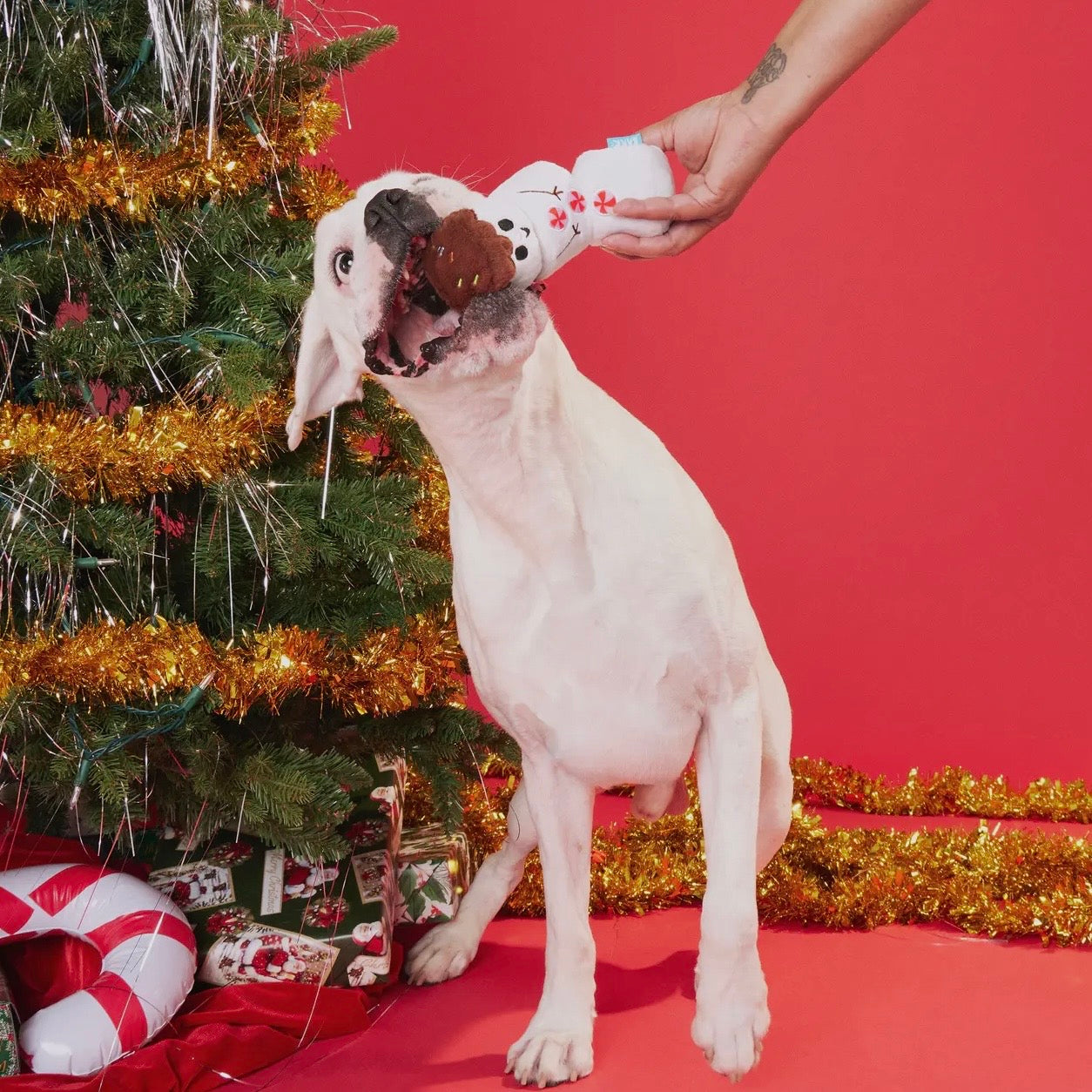 BARK Frosty the S'moreman Dog Toy