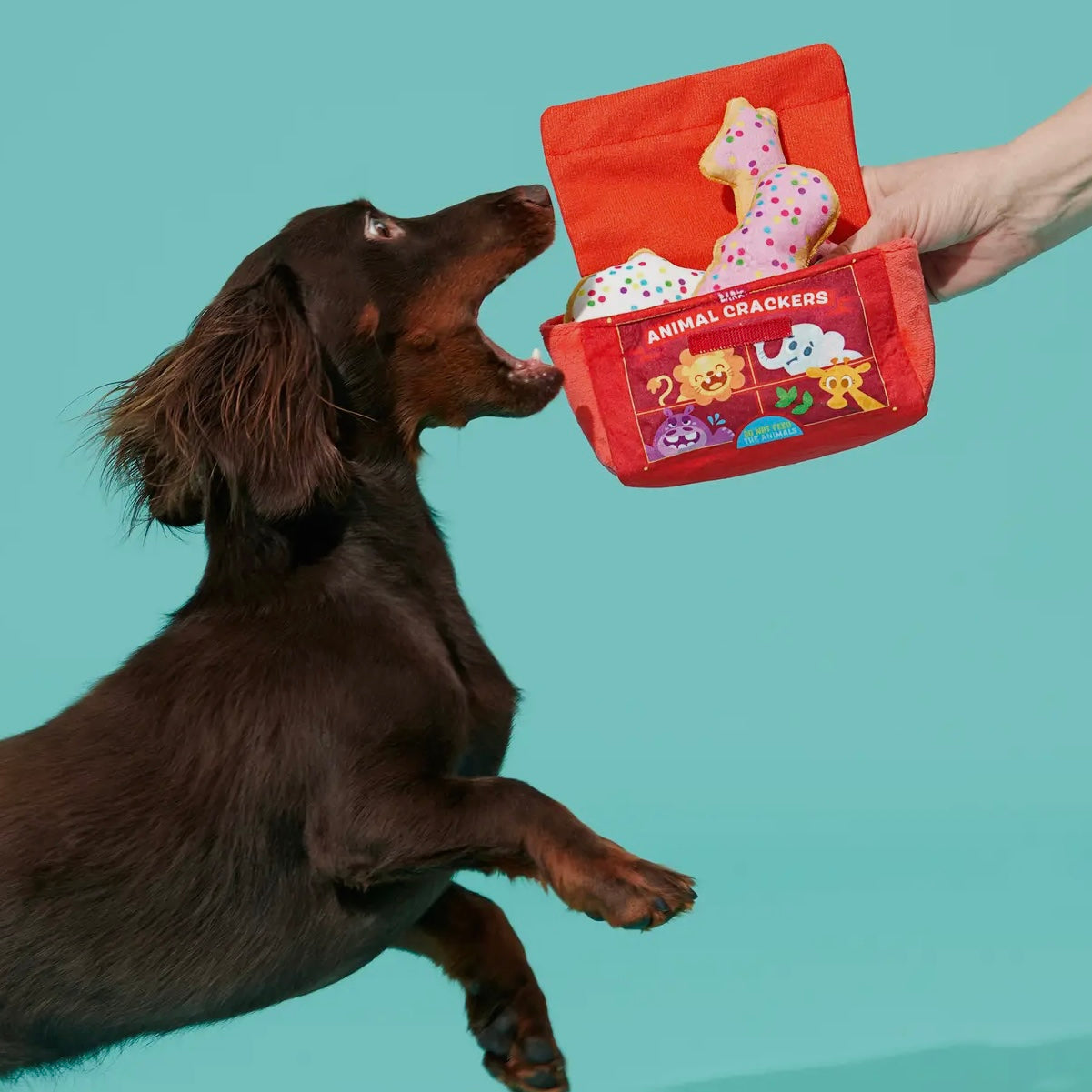 BARK Animal Squeakers Snacks Plush Dog Toy XS/S