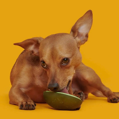 BARK Avocadoggo Super Chewer Dog Toy Small
