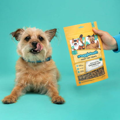 Snaggle Tooth Chicken Liver Teeny Tiny Treats