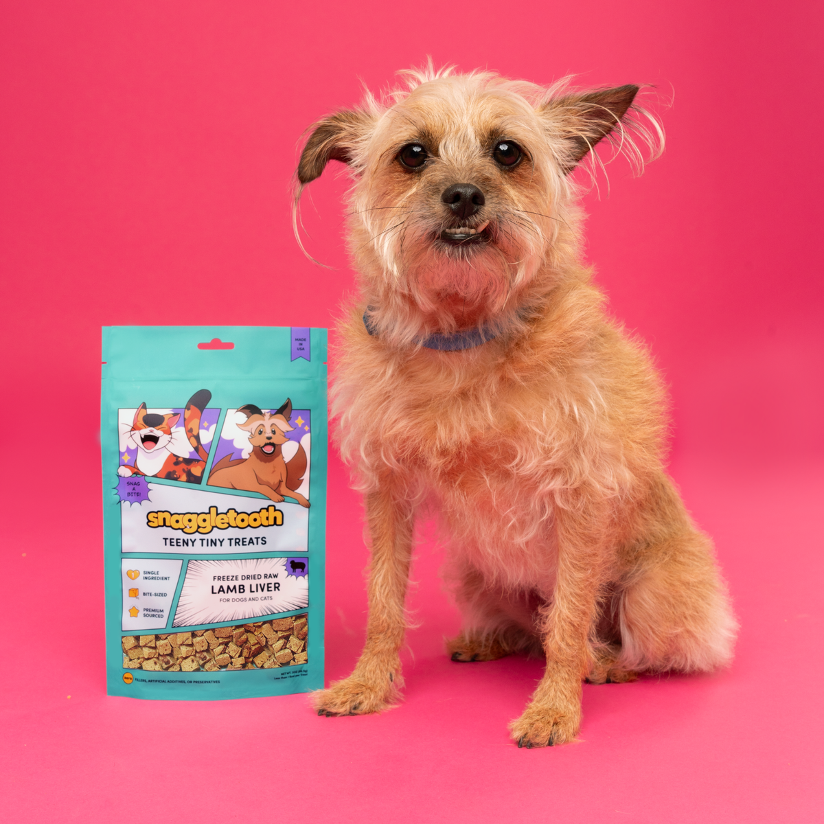 Snaggle Tooth Lamb Liver Teeny Tiny Treats