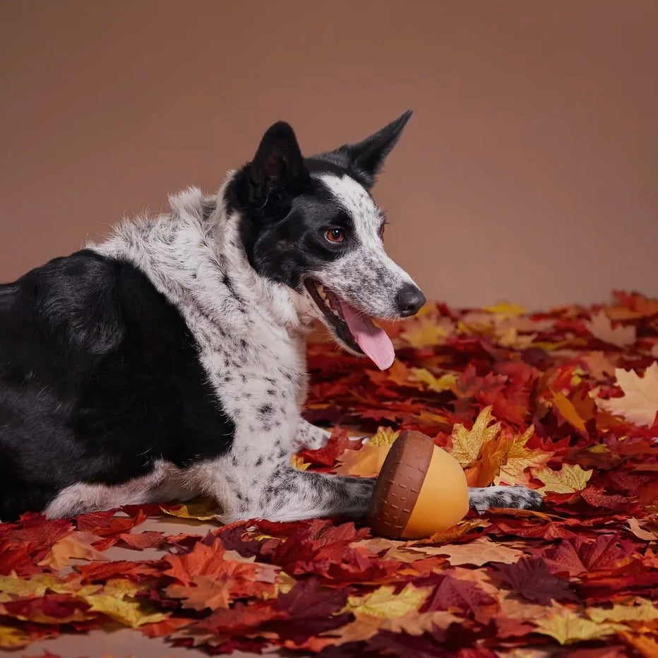 BARK Super Chewer Acornucopia Dog Toy Large