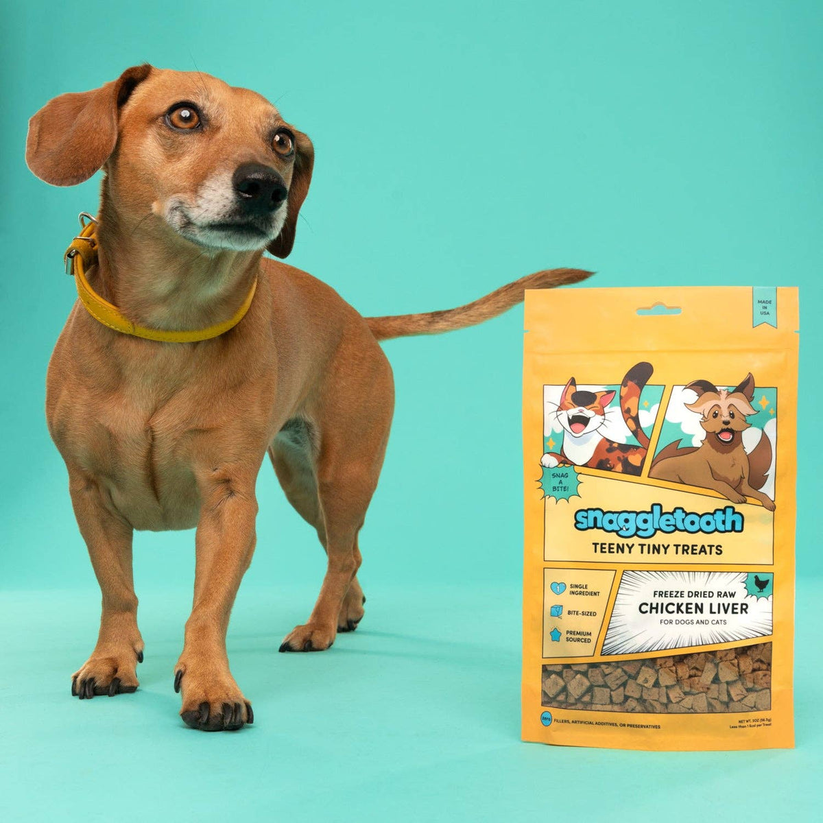 Snaggle Tooth Chicken Liver Teeny Tiny Treats