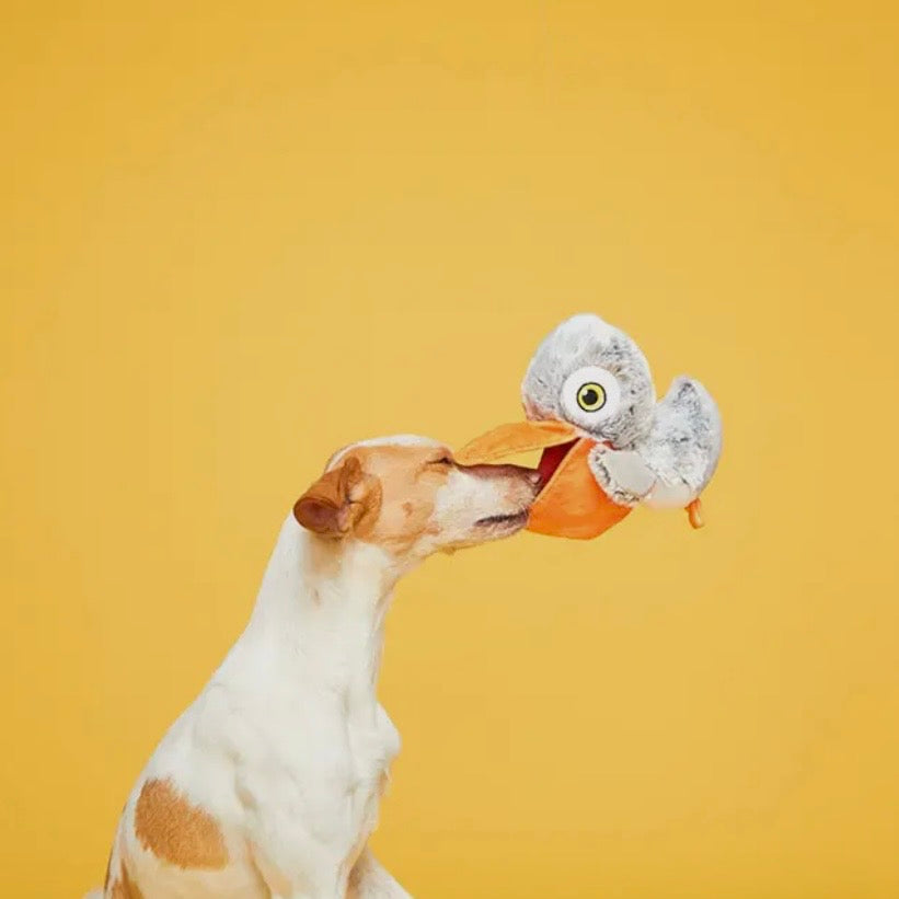 BARK Big Bill & Beak-A-Boo Fish