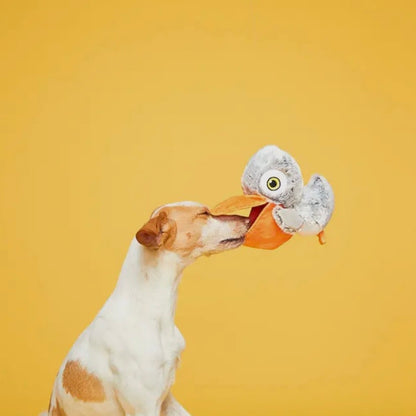 BARK Big Bill & Beak-A-Boo Fish