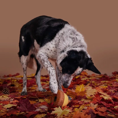 BARK Super Chewer Acornucopia Dog Toy Large