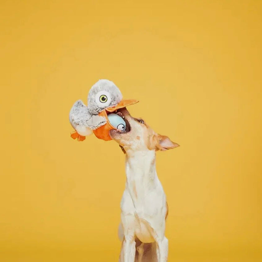 BARK Big Bill & Beak-A-Boo Fish