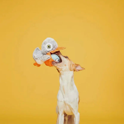 BARK Big Bill & Beak-A-Boo Fish