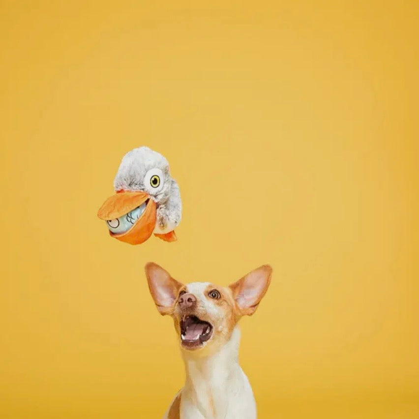 BARK Big Bill & Beak-A-Boo Fish