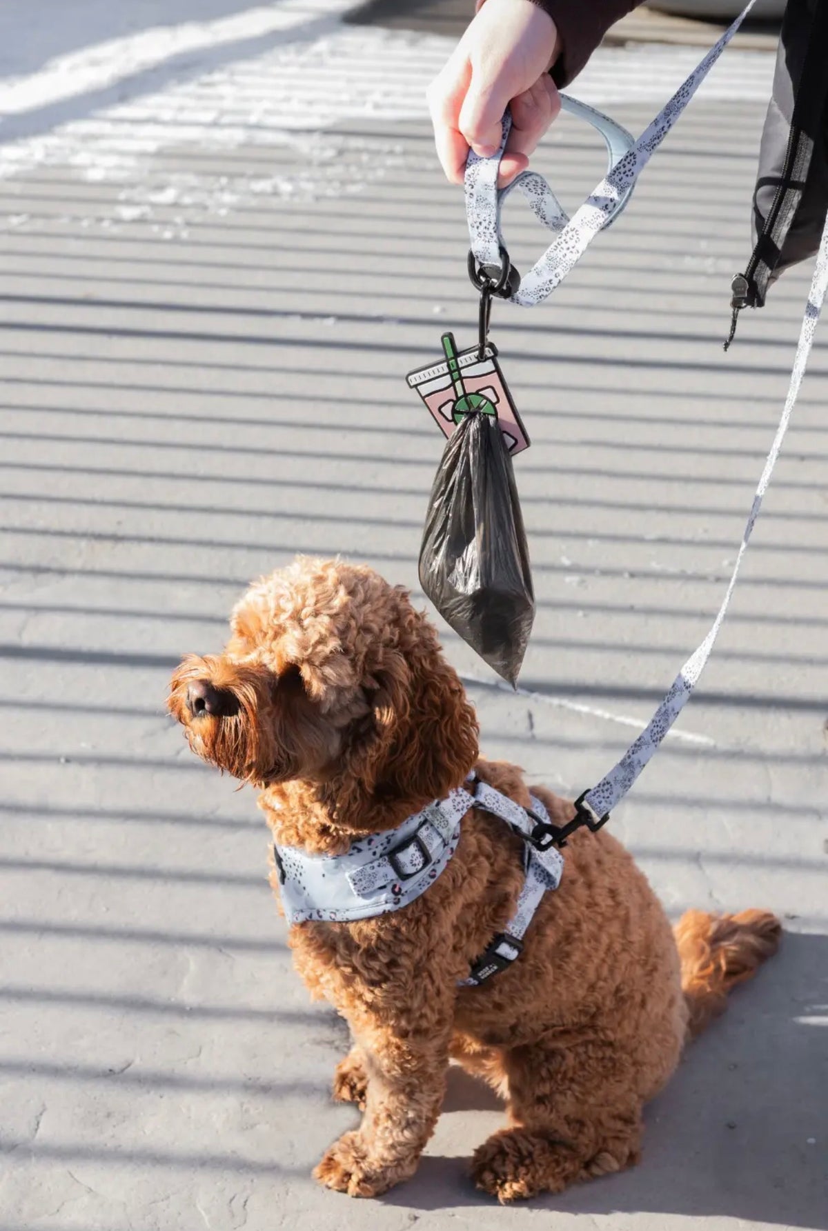 Iced Coffee Poopy Loop® Dog Waste
Bag Holder