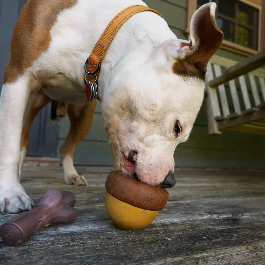 BARK Super Chewer Acornucopia Dog Toy Large
