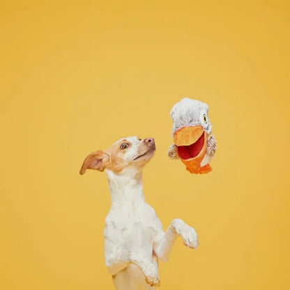 BARK Big Bill & Beak-A-Boo Fish