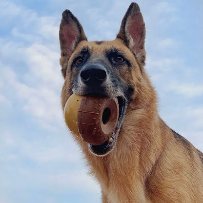 BARK Super Chewer Acornucopia Dog Toy Large