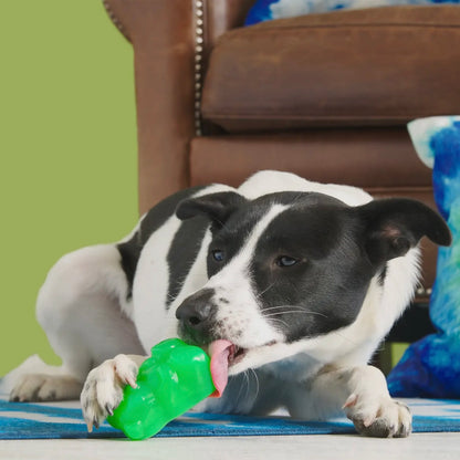 BARK Super Chewer Munchie The Bear Dog Chew Toy S