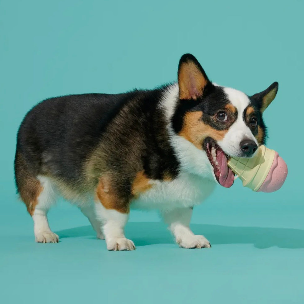 BARK Super Chewer I-Squeak Cone Dog Toy Medium-Large