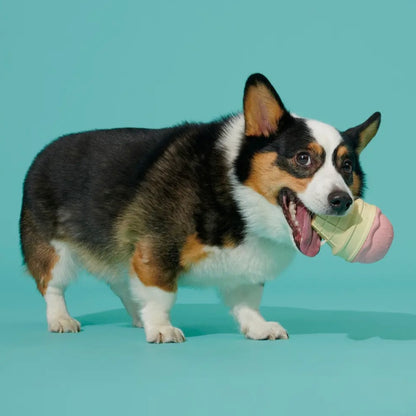 BARK Super Chewer I-Squeak Cone Dog Toy Medium-Large